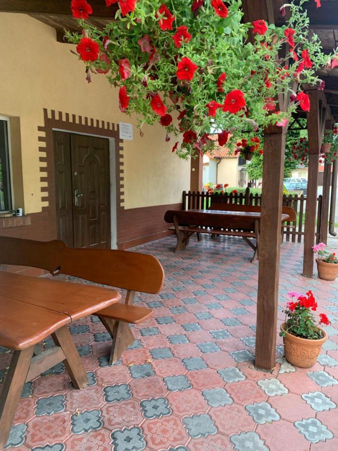 Zofia Ciesiul Villa Orneta Exterior foto